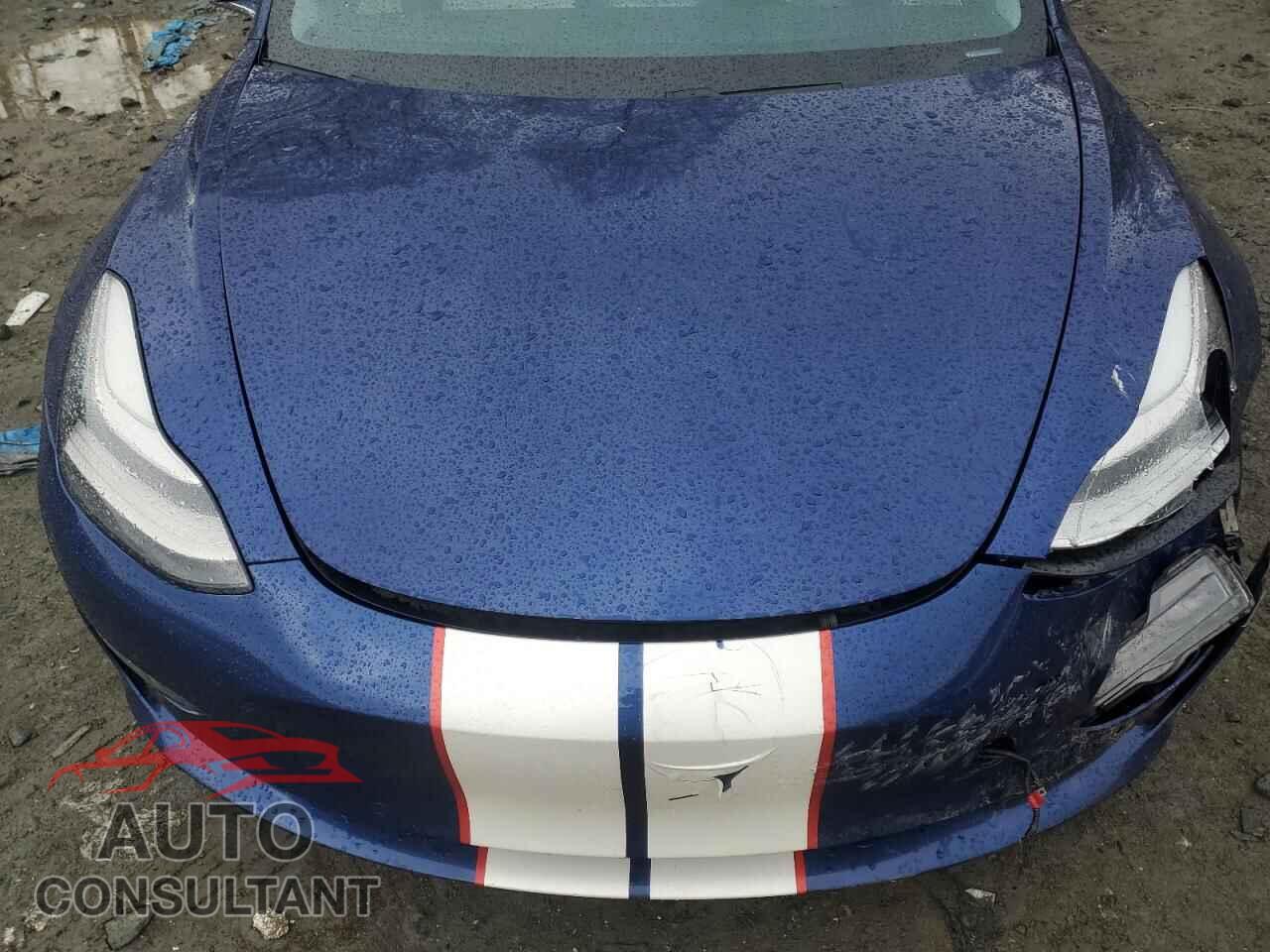 TESLA MODEL 3 2019 - 5YJ3E1EB2KF442460