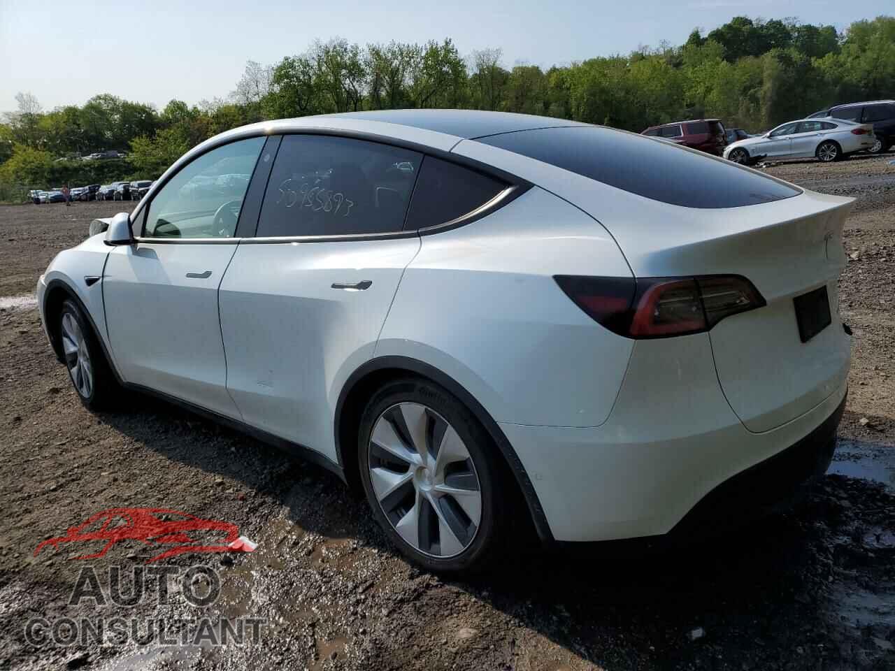 TESLA MODEL Y 2021 - 5YJYGDEEXMF079999