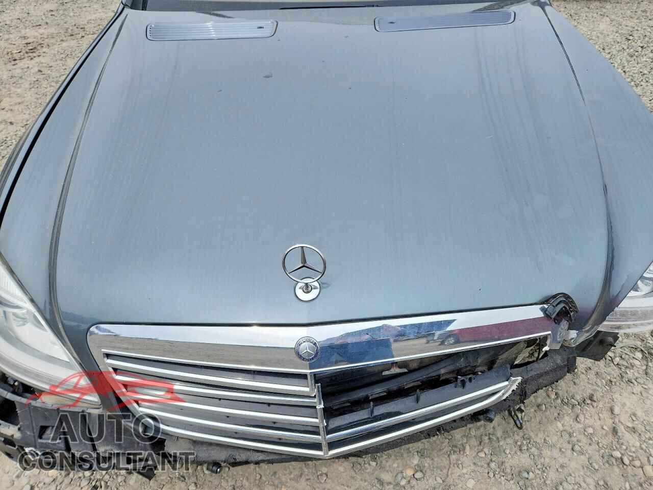 MERCEDES-BENZ S-CLASS 2010 - WDDNG7BB6AA334351