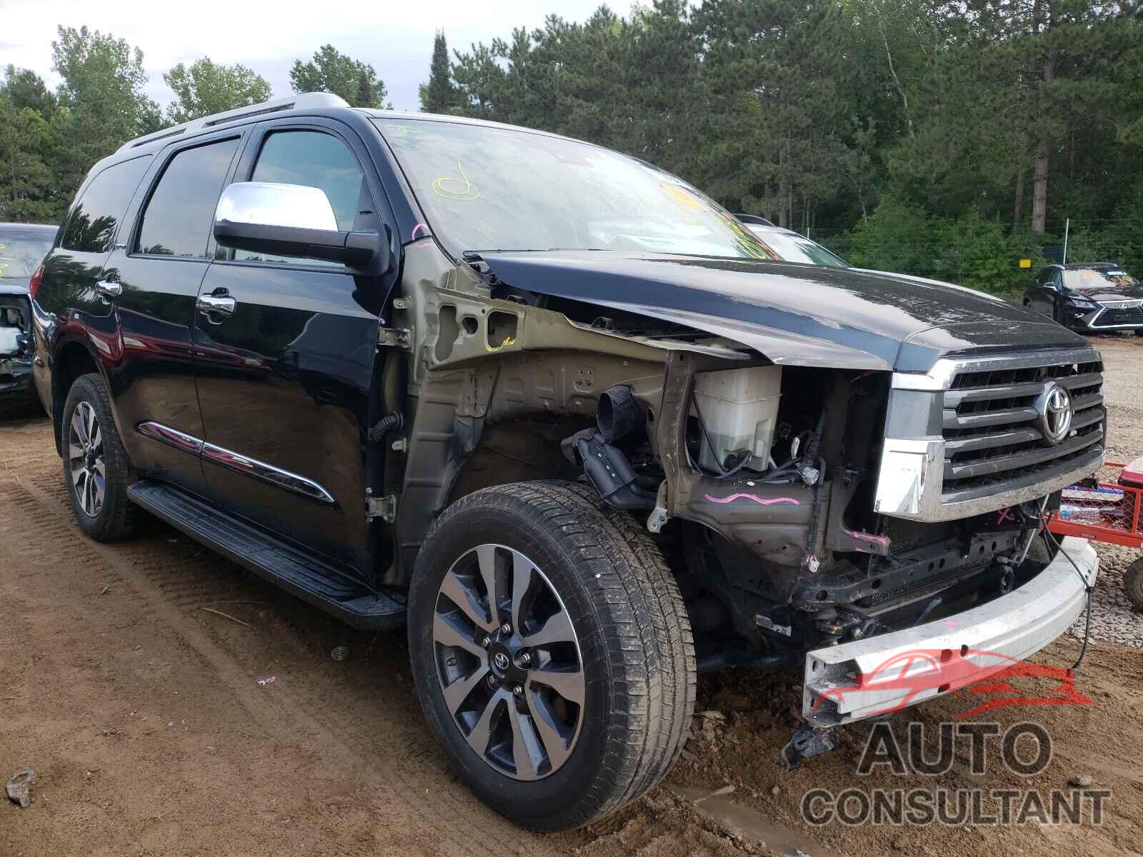 TOYOTA SEQUOIA 2018 - 5TDJY5G13JS163068
