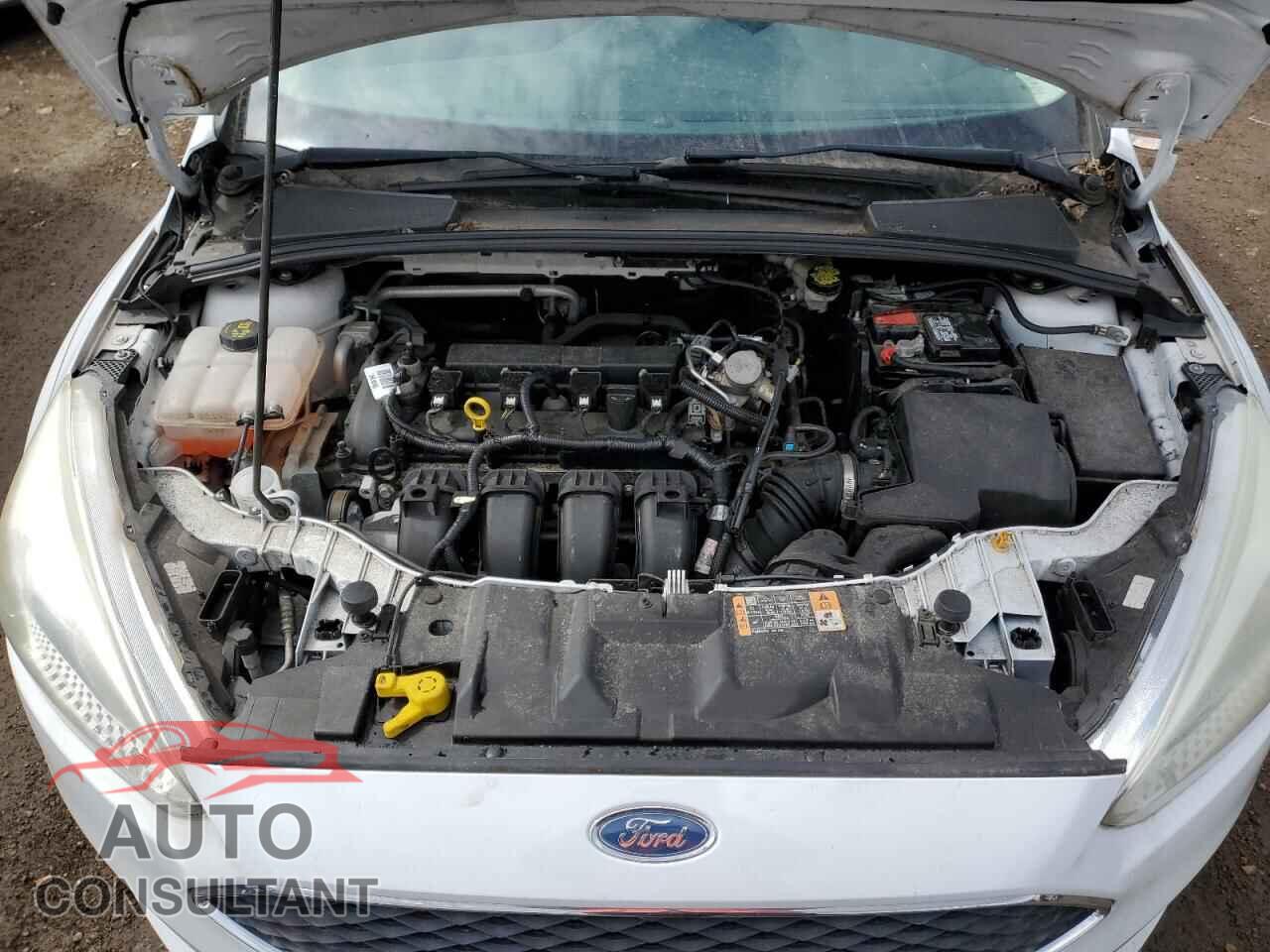 FORD FOCUS 2016 - 1FADP3E25GL339487