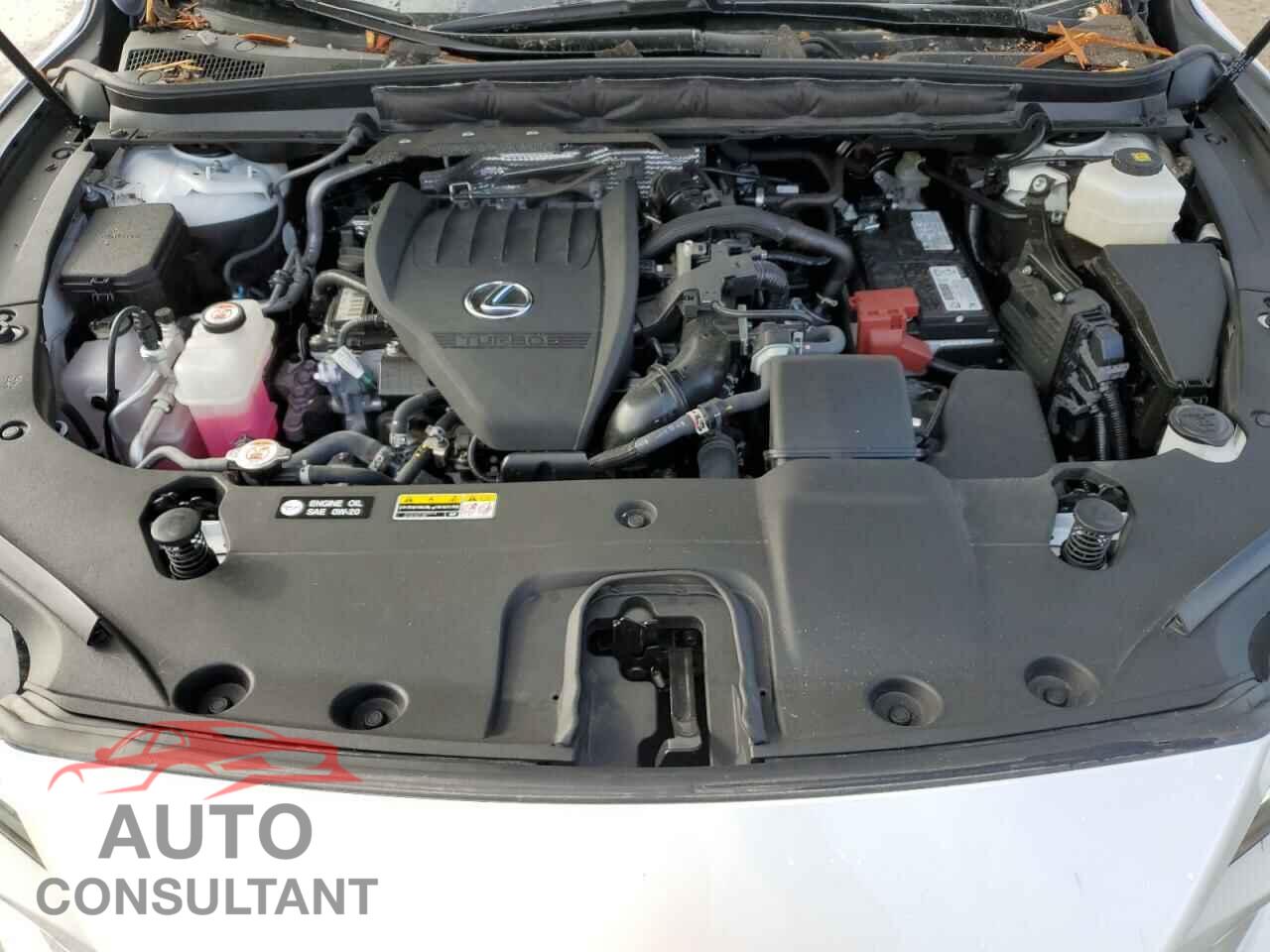 LEXUS RX350 2023 - 2T2BAMCA3PC007473