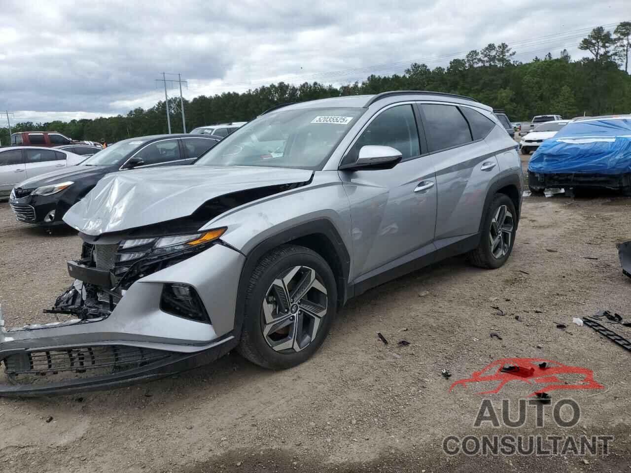 HYUNDAI TUCSON 2024 - 5NMJF3DE1RH388542