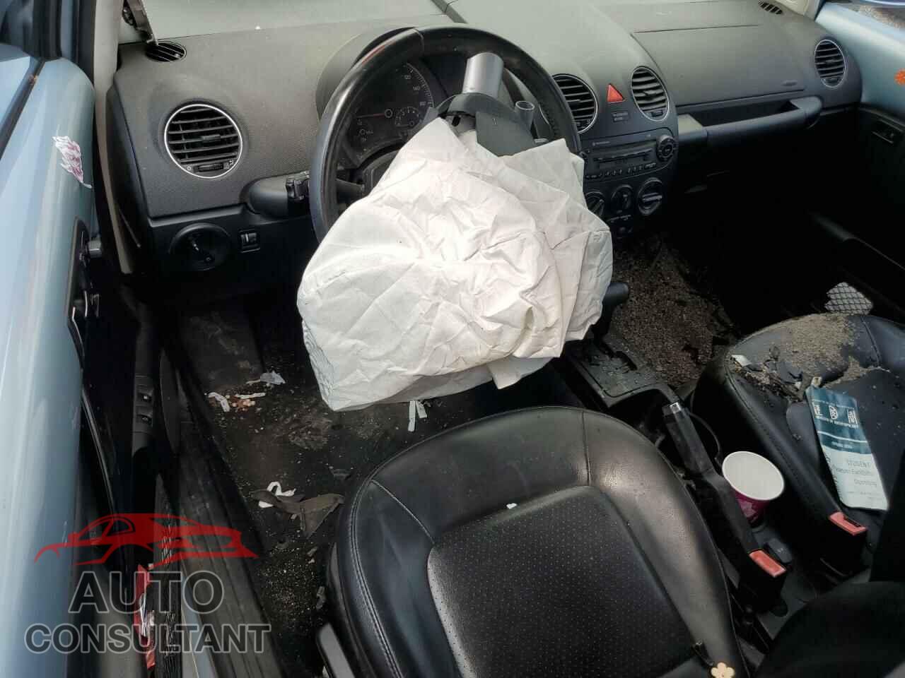 VOLKSWAGEN BEETLE 2009 - 3VWPW31C19M513210