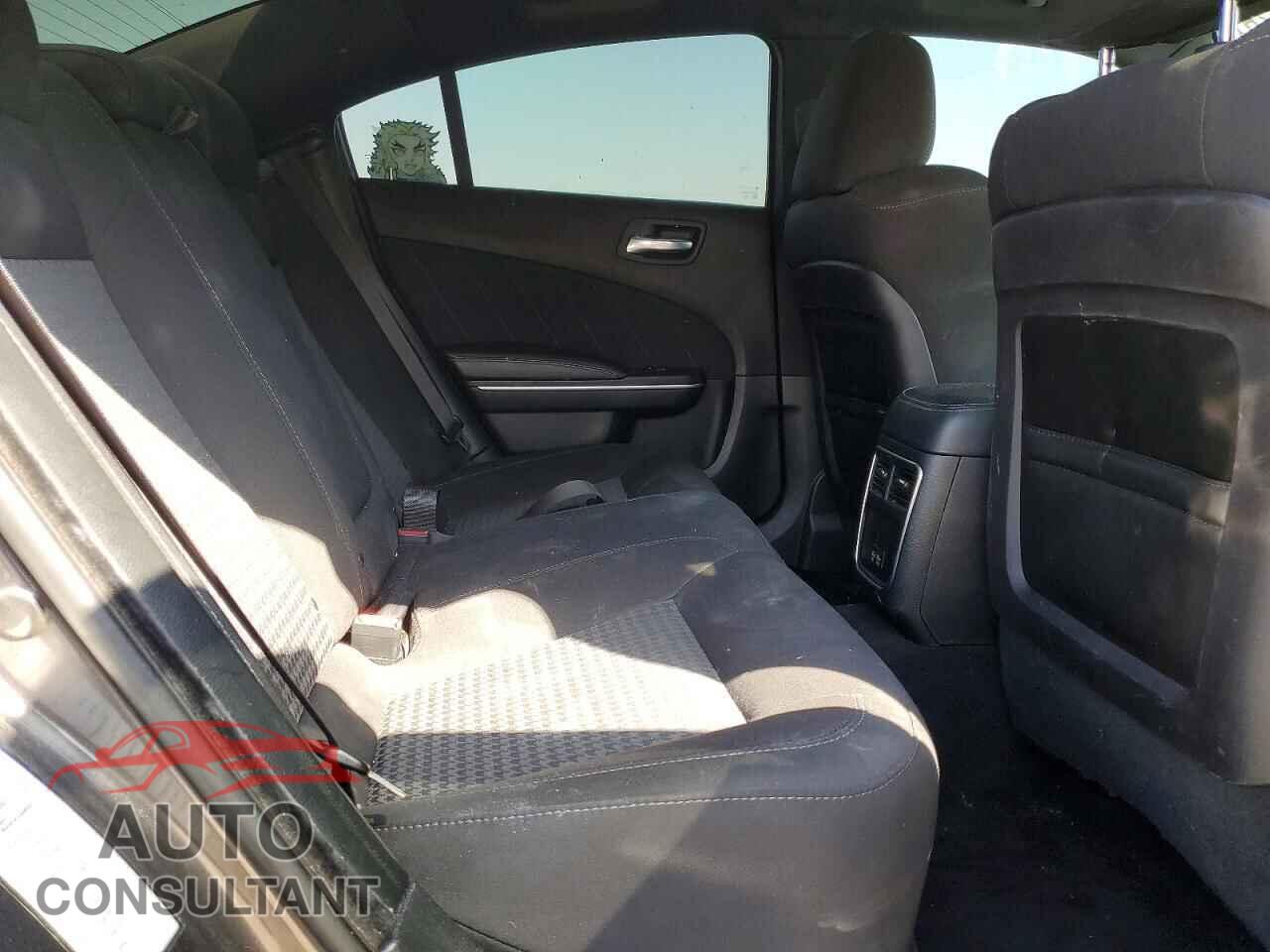 DODGE CHARGER 2019 - 2C3CDXCTXKH633401
