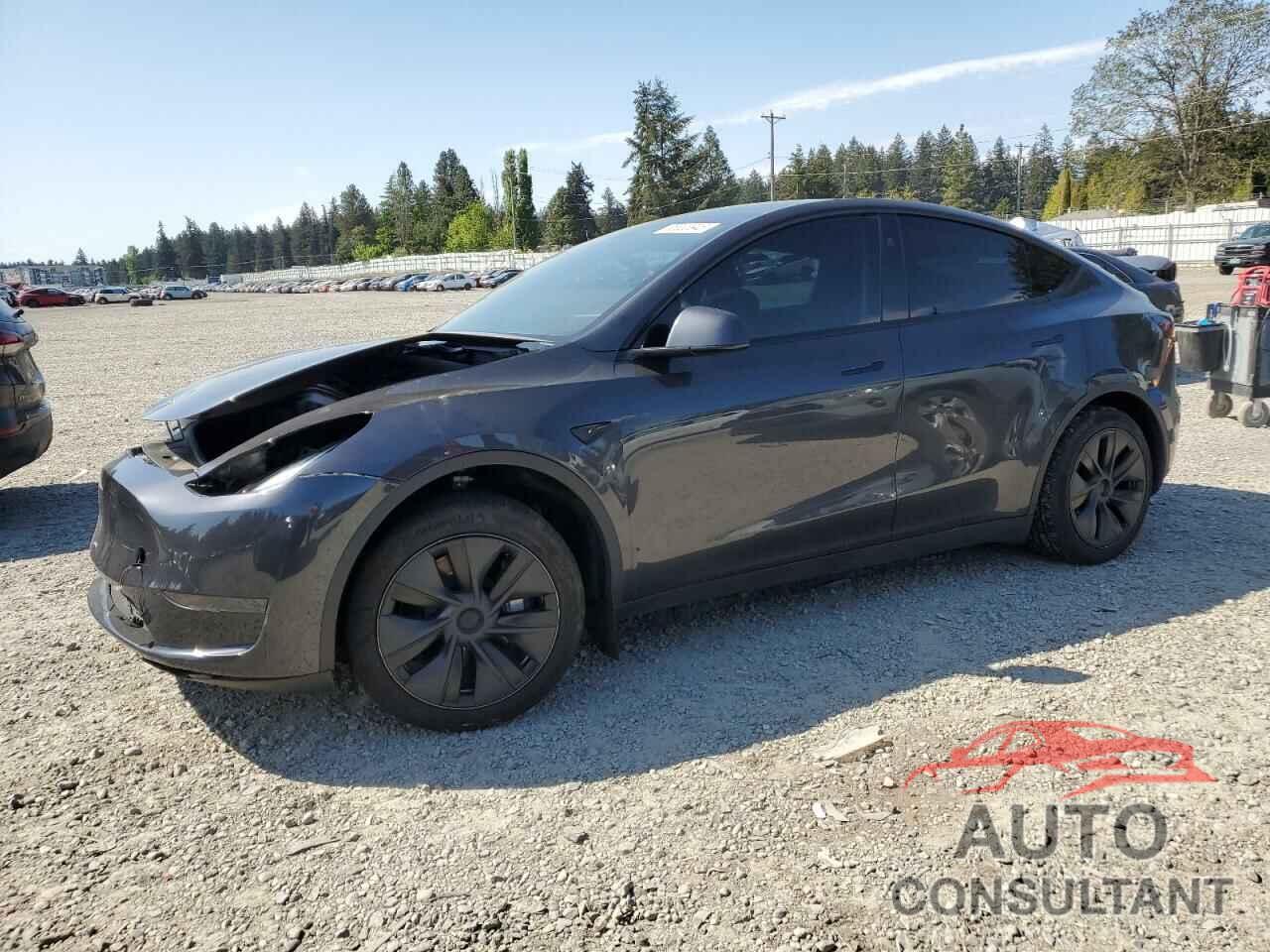 TESLA MODEL Y 2024 - 7SAYGDED1RF100854