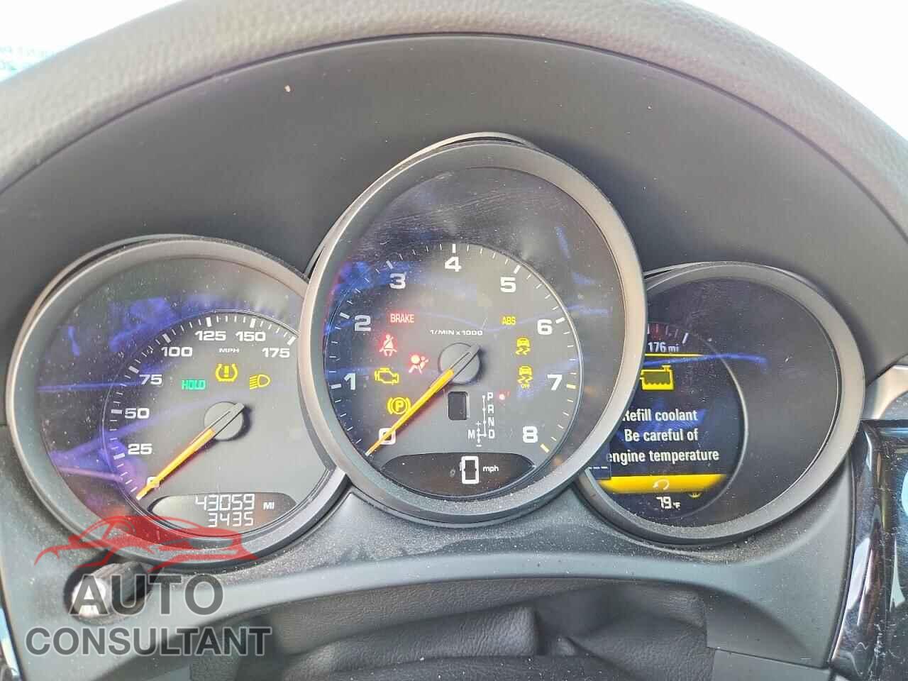 PORSCHE MACAN 2021 - WP1AA2A53MLB15105