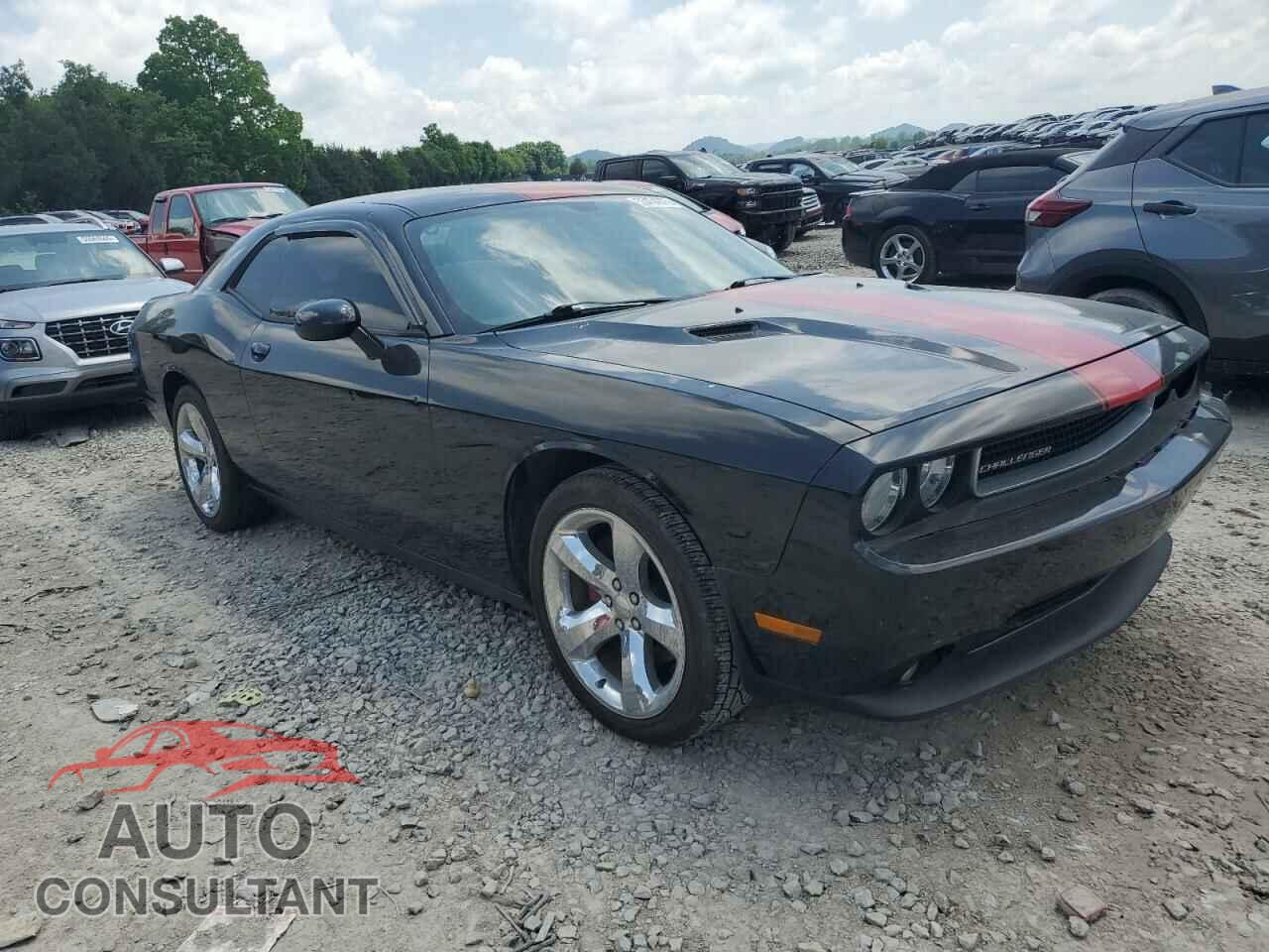 DODGE CHALLENGER 2014 - 2C3CDYAG0EH274124