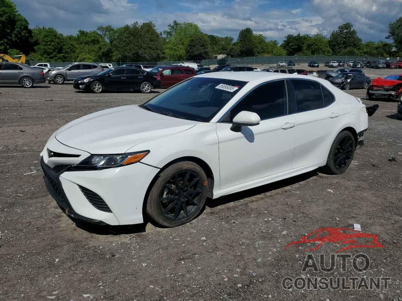 TOYOTA CAMRY 2019 - 4T1B11HK0KU186132