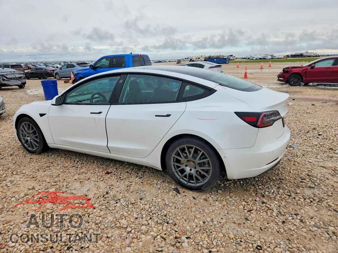 TESLA MODEL 3 2021 - 5YJ3E1EA5MF854821