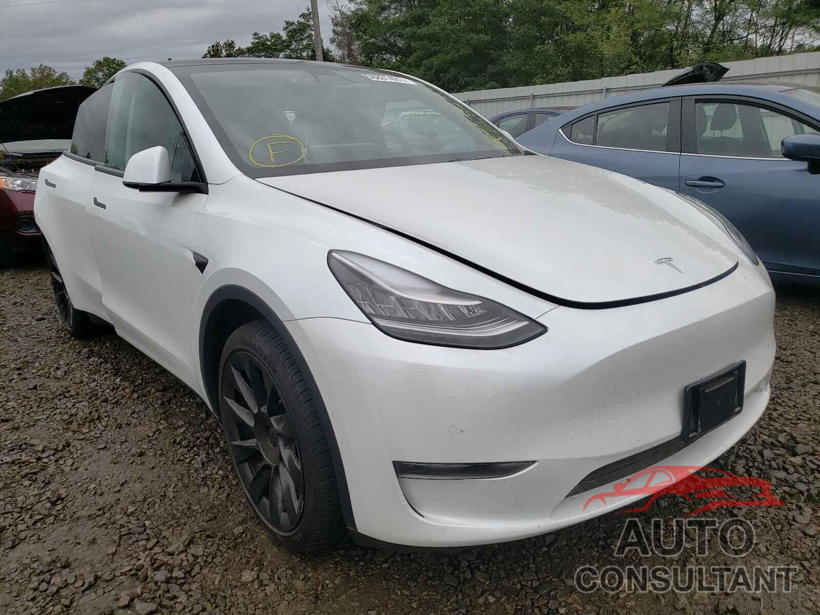 TESLA MODEL Y 2021 - 5YJYGDEE0MF065349
