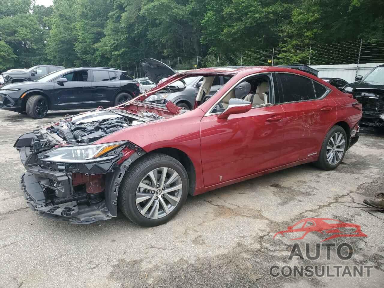 LEXUS ES300 2020 - 58AD21B16LU010699