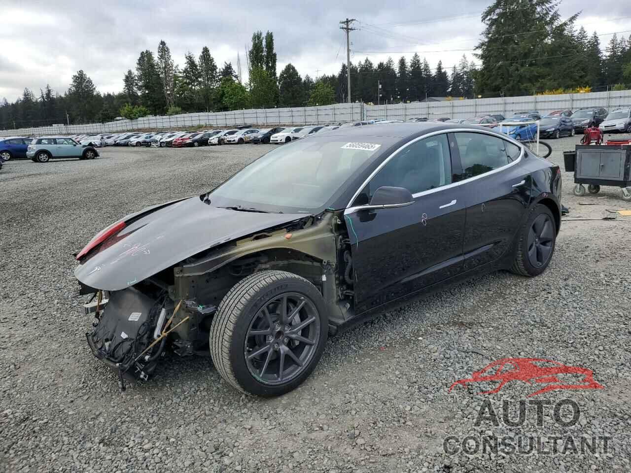 TESLA MODEL 3 2019 - 5YJ3E1EA2KF361787