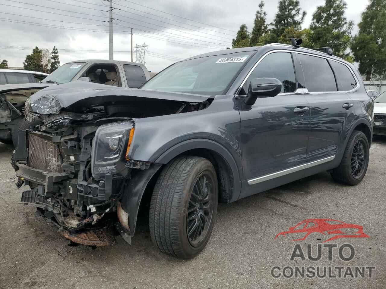 KIA TELLURIDE 2020 - 5XYP3DHC3LG090920