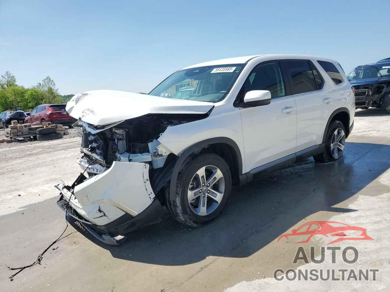 HONDA PILOT 2024 - 5FNYG1H43RB018549