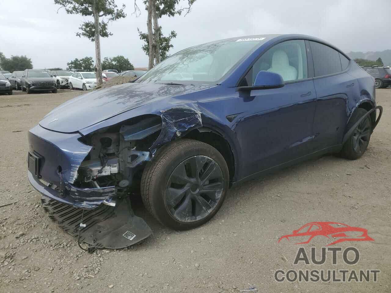 TESLA MODEL Y 2024 - 7SAYGDED3RF118546