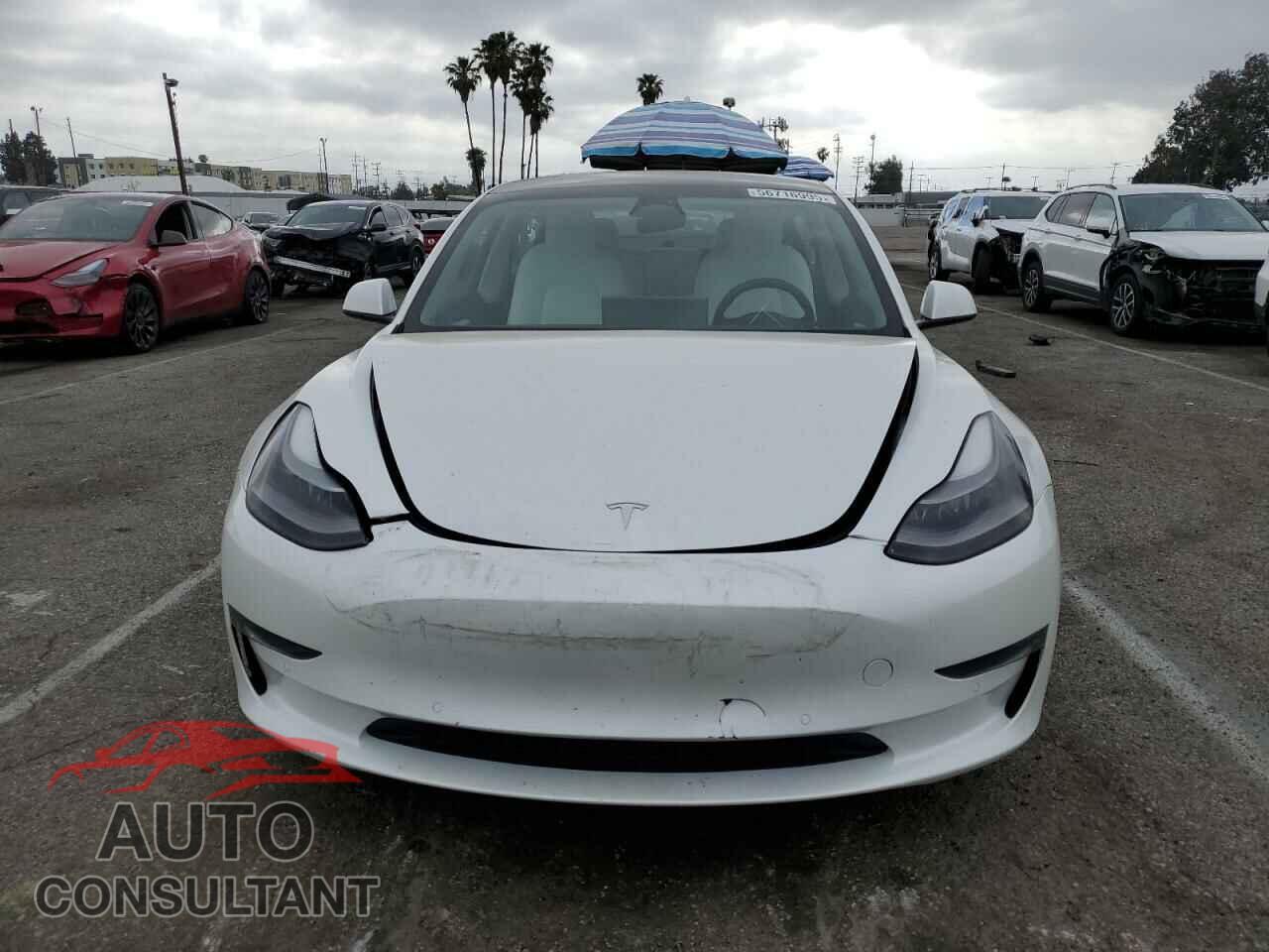 TESLA MODEL 3 2022 - 5YJ3E1EB4NF255113