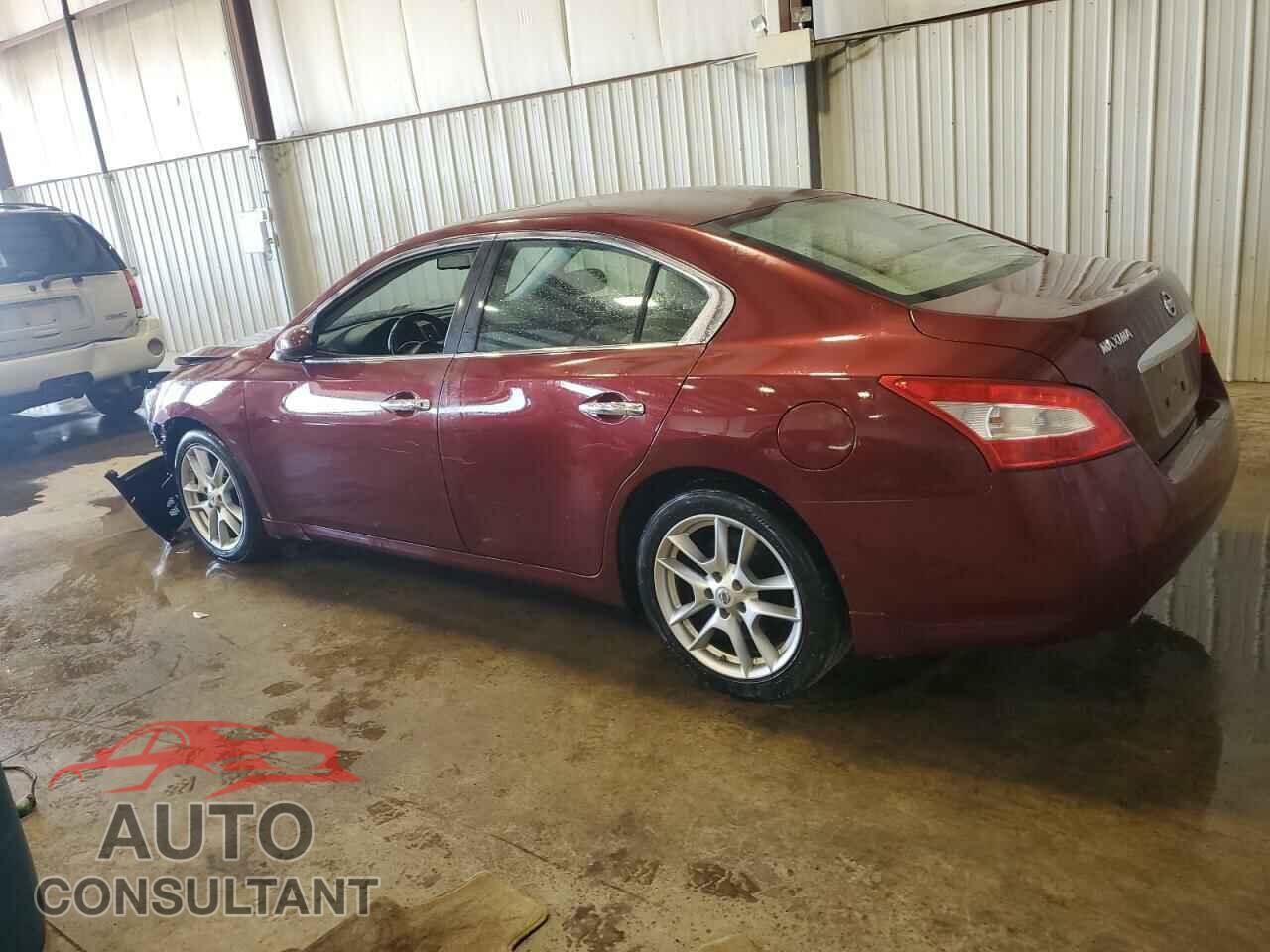 NISSAN MAXIMA 2011 - 1N4AA5AP2BC850830