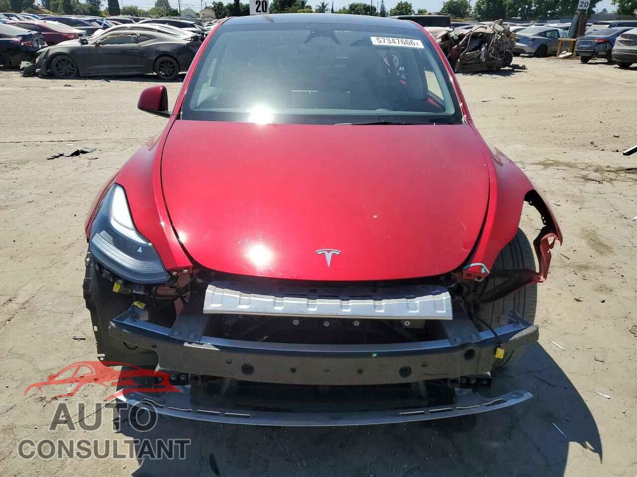 TESLA MODEL Y 2024 - 7SAYGDEDXRF164553