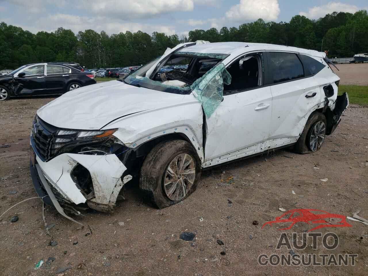 HYUNDAI TUCSON 2023 - KM8JBCA14PU131888
