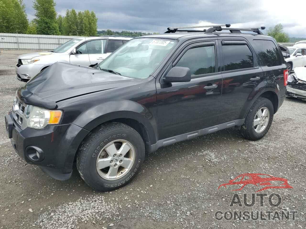 FORD ESCAPE 2011 - 1FMCU9DG8BKC53650