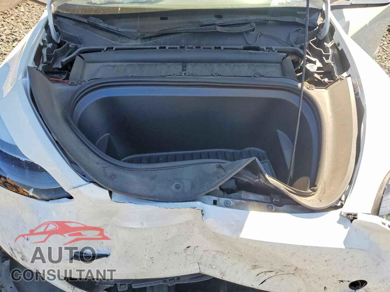 TESLA MODEL Y 2023 - 7SAYGDEEXPF842501
