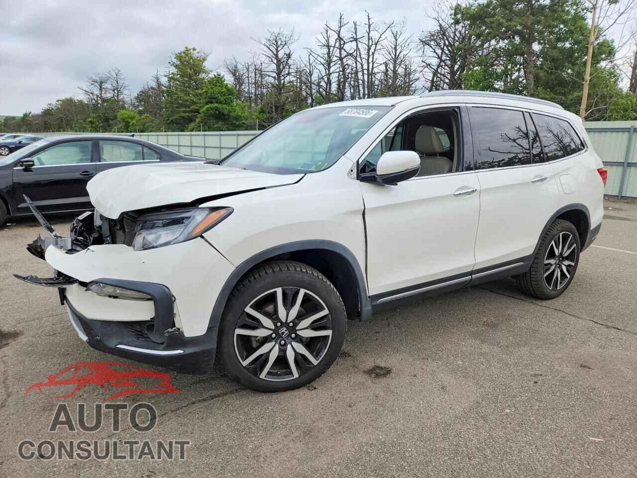 HONDA PILOT 2019 - 5FNYF6H64KB011066