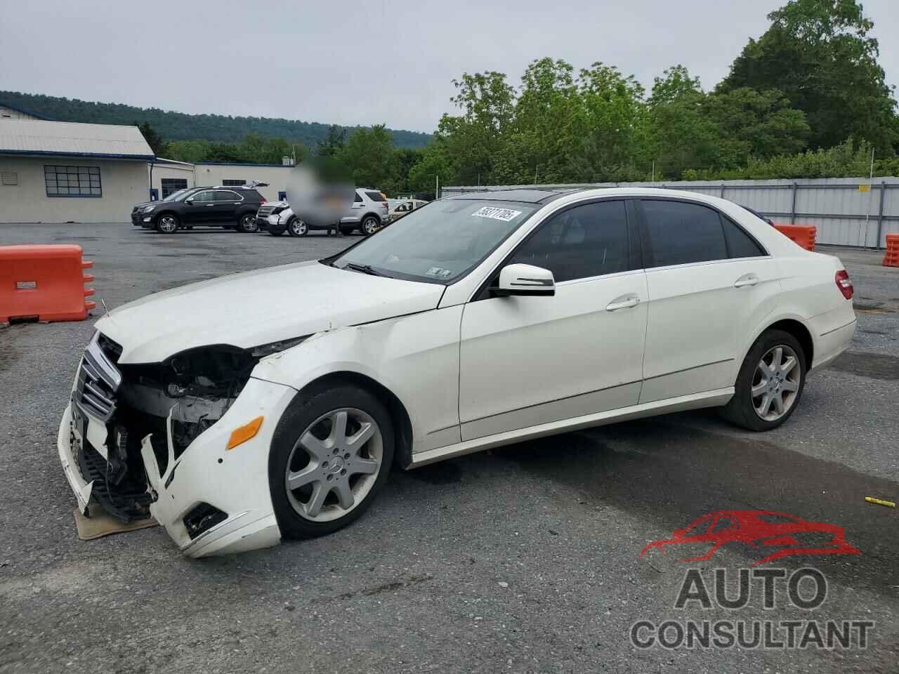 MERCEDES-BENZ E-CLASS 2011 - WDDHF8HB8BA456546