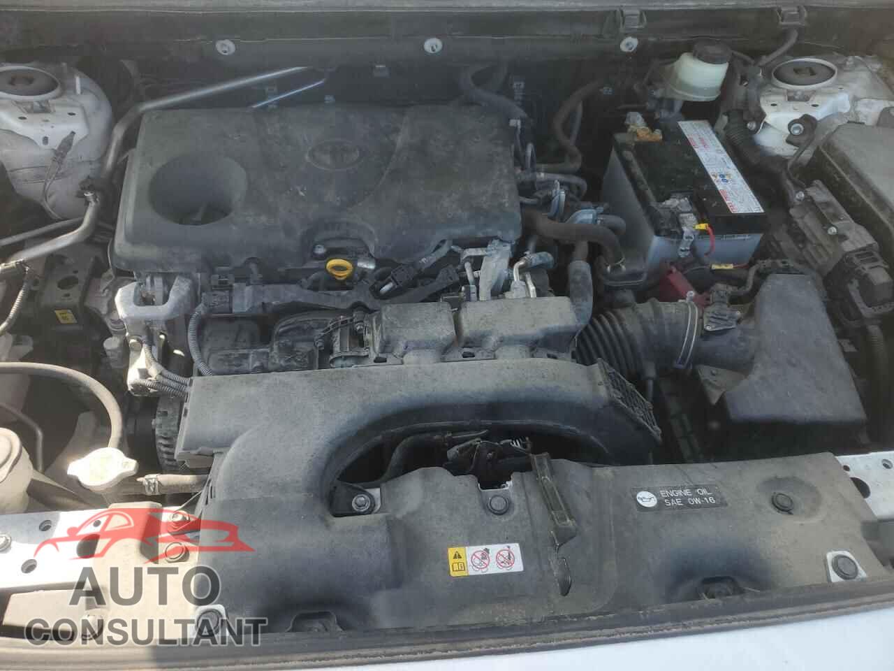 TOYOTA RAV4 2019 - JTMP1RFV3KD020337