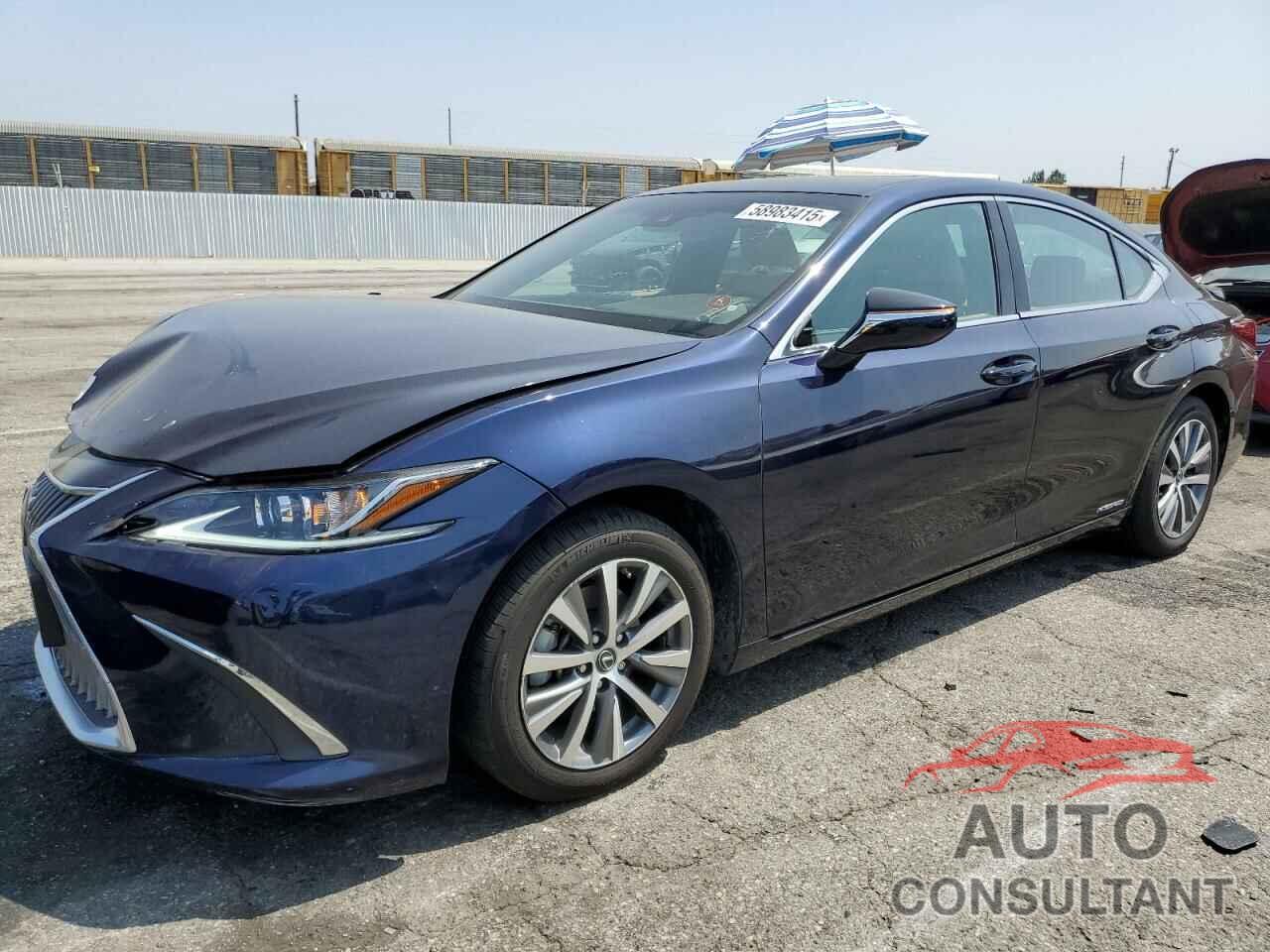 LEXUS ES300 2020 - 58AC21B13LU008694