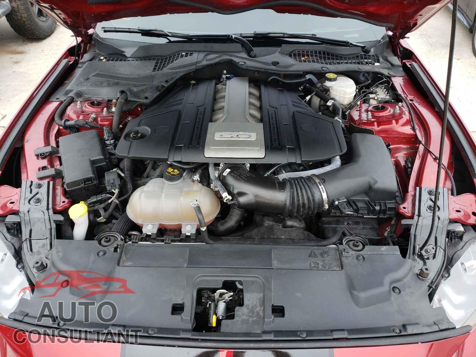 FORD MUSTANG 2019 - 1FA6P8CF3K5108595