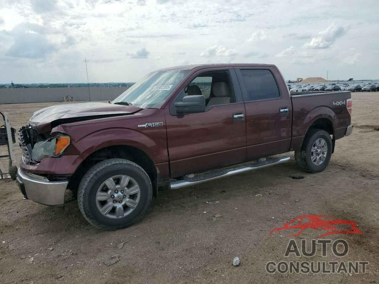 FORD F-150 2010 - 1FTEW1E88AFA28250