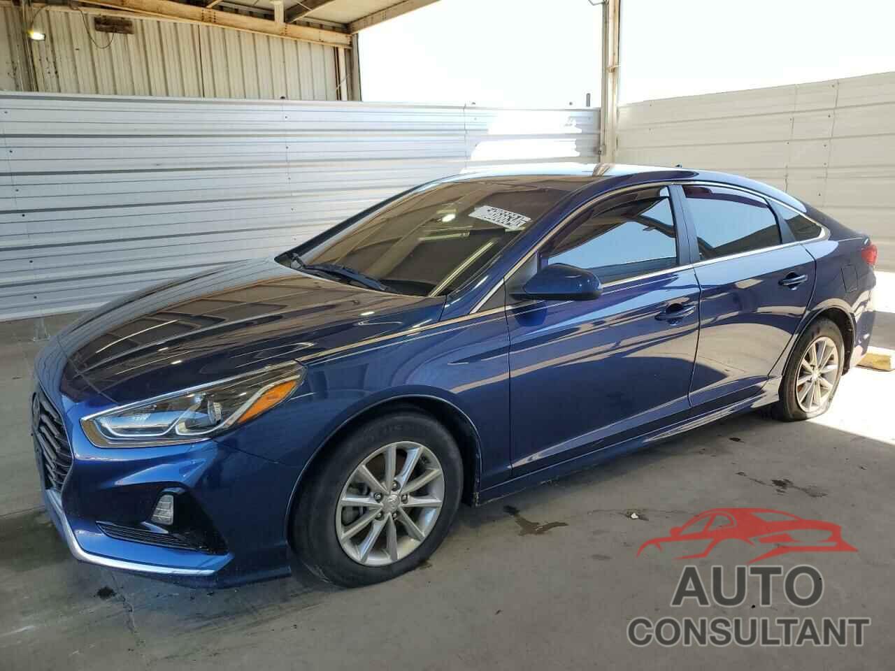 HYUNDAI SONATA 2019 - 5NPE24AF5KH813284