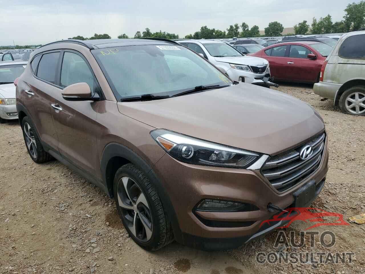 HYUNDAI TUCSON 2016 - KM8J33A21GU180522