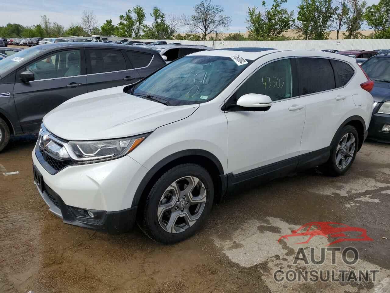 HONDA CRV 2019 - 2HKRW1H56KH513920