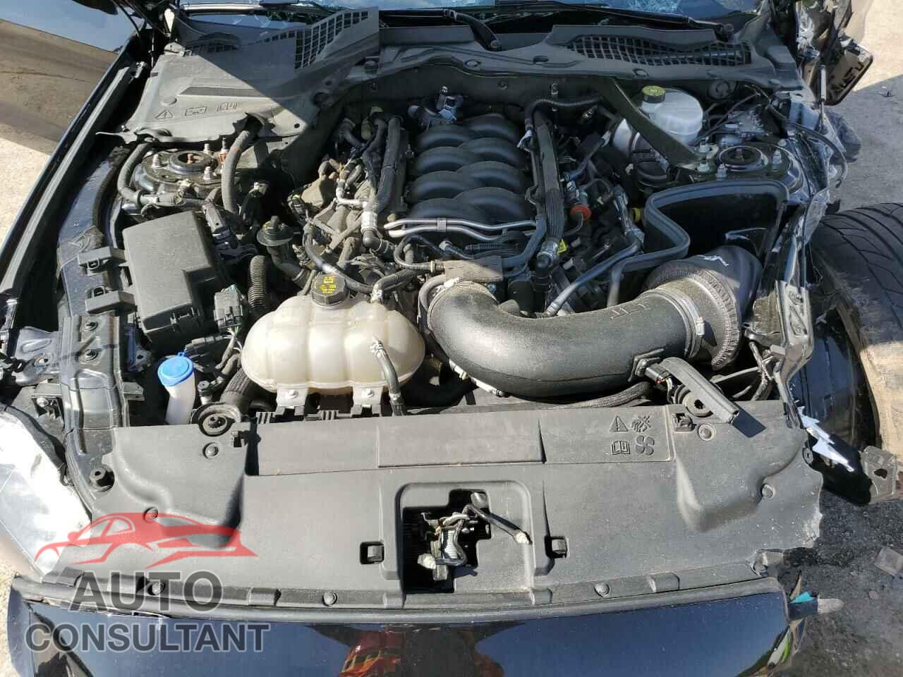 FORD MUSTANG 2022 - 1FA6P8CF5N5130246