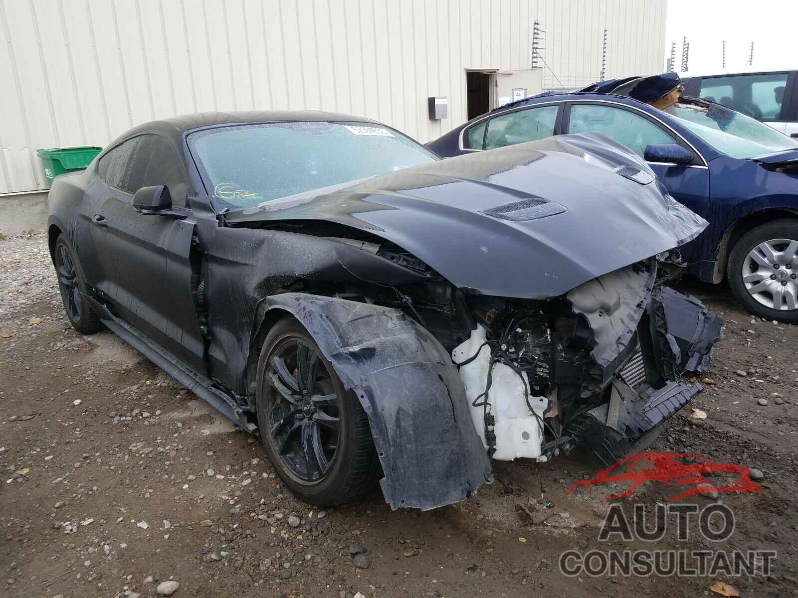 FORD MUSTANG 2019 - 1FA6P8TH3K5103088