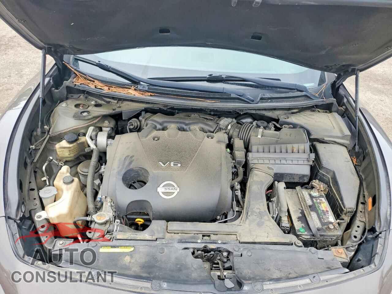 NISSAN MAXIMA 2013 - 1N4AA5AP7DC804123