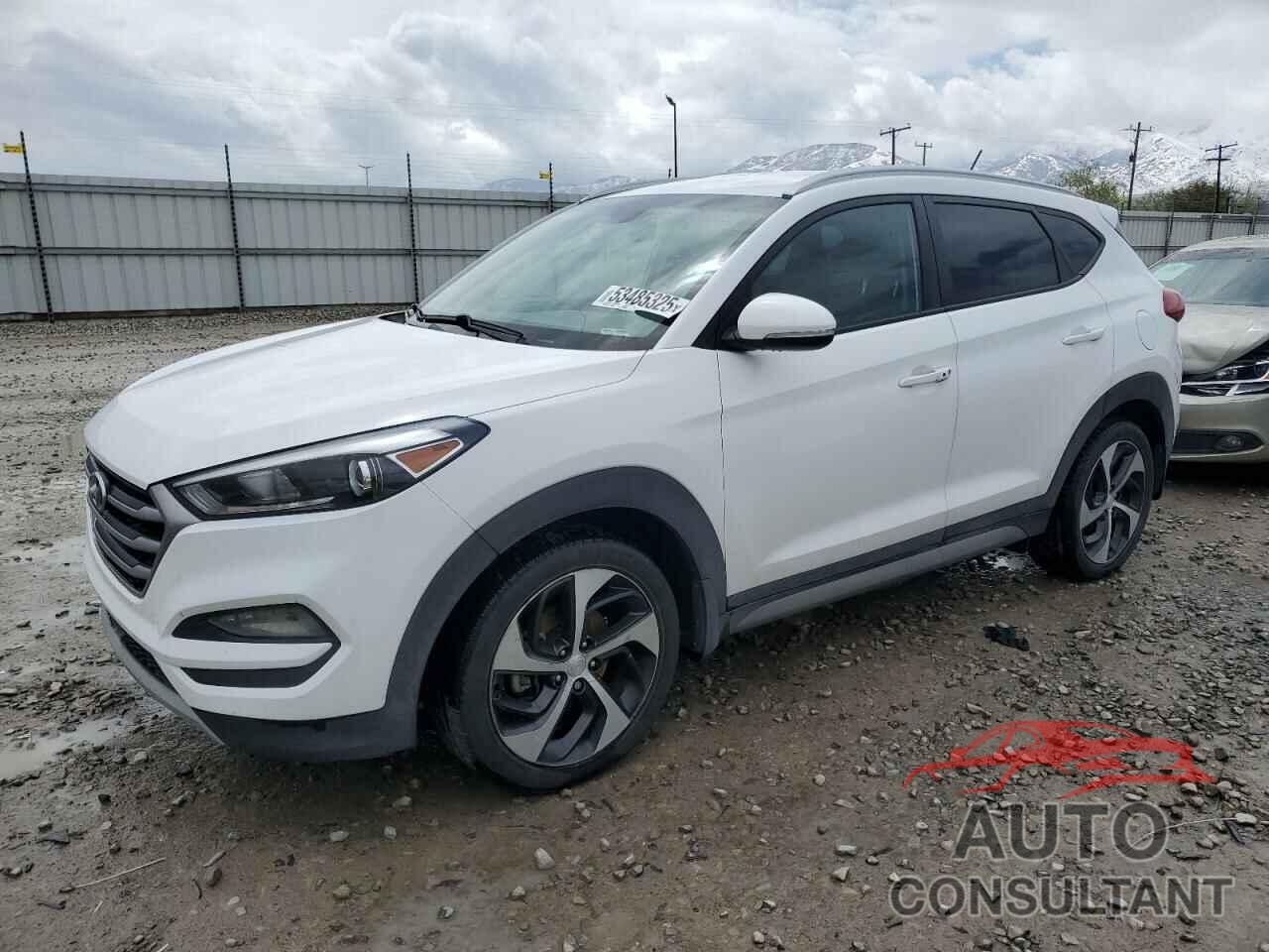 HYUNDAI TUCSON 2017 - KM8J3CA24HU295715