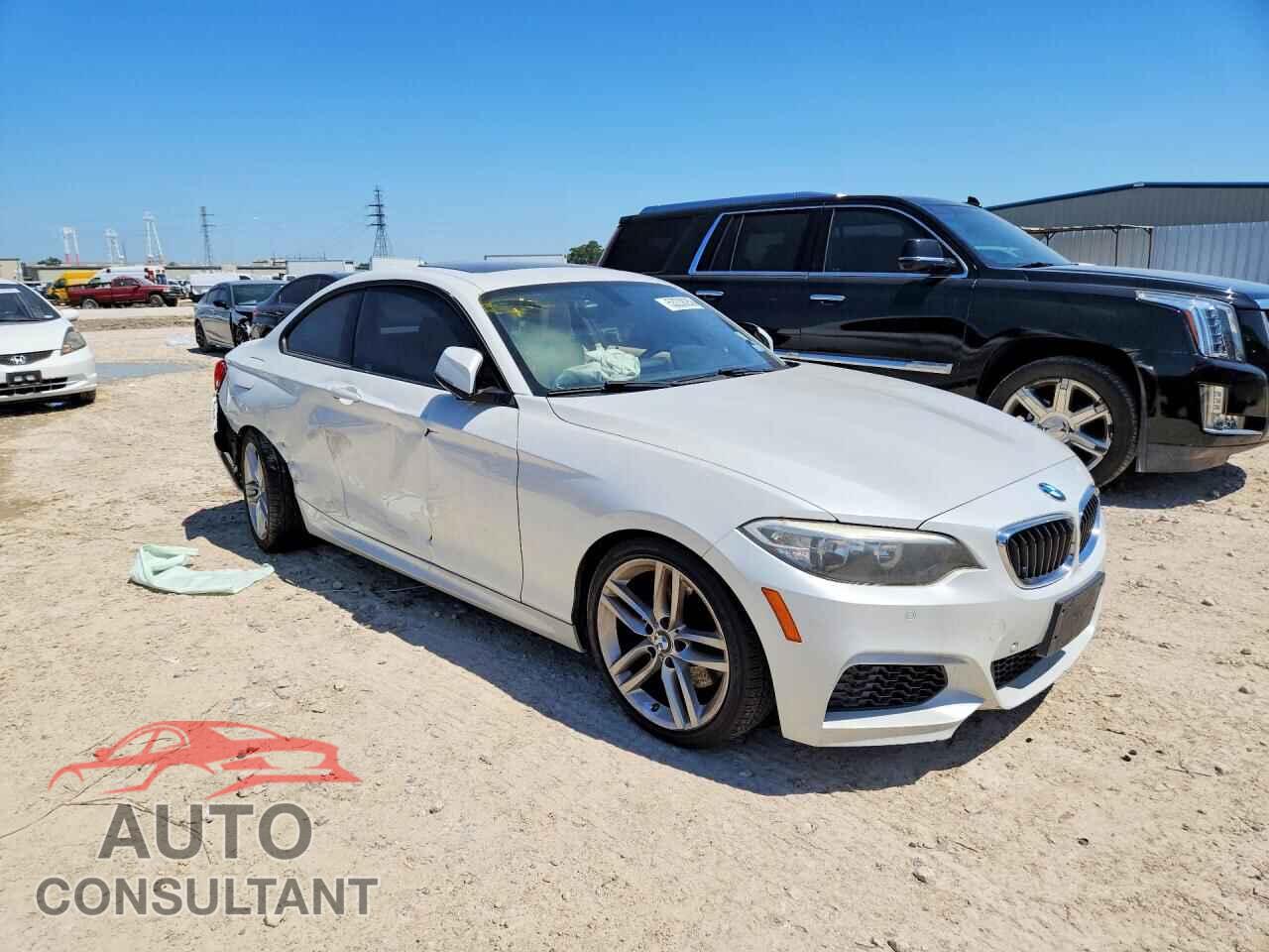 BMW 2 SERIES 2014 - WBA1F5C59EVV99348