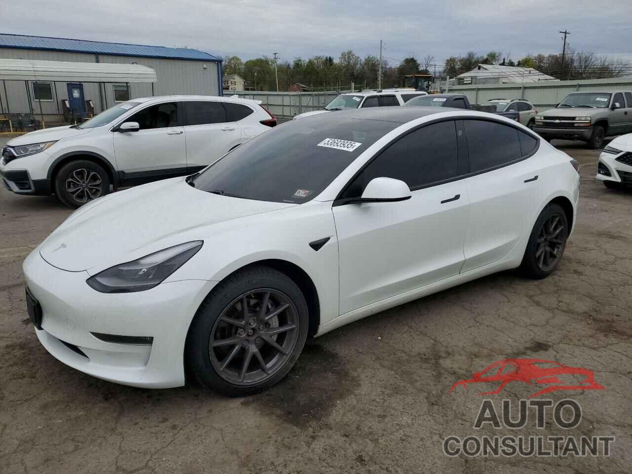 TESLA MODEL 3 2021 - 5YJ3E1EBXMF938965