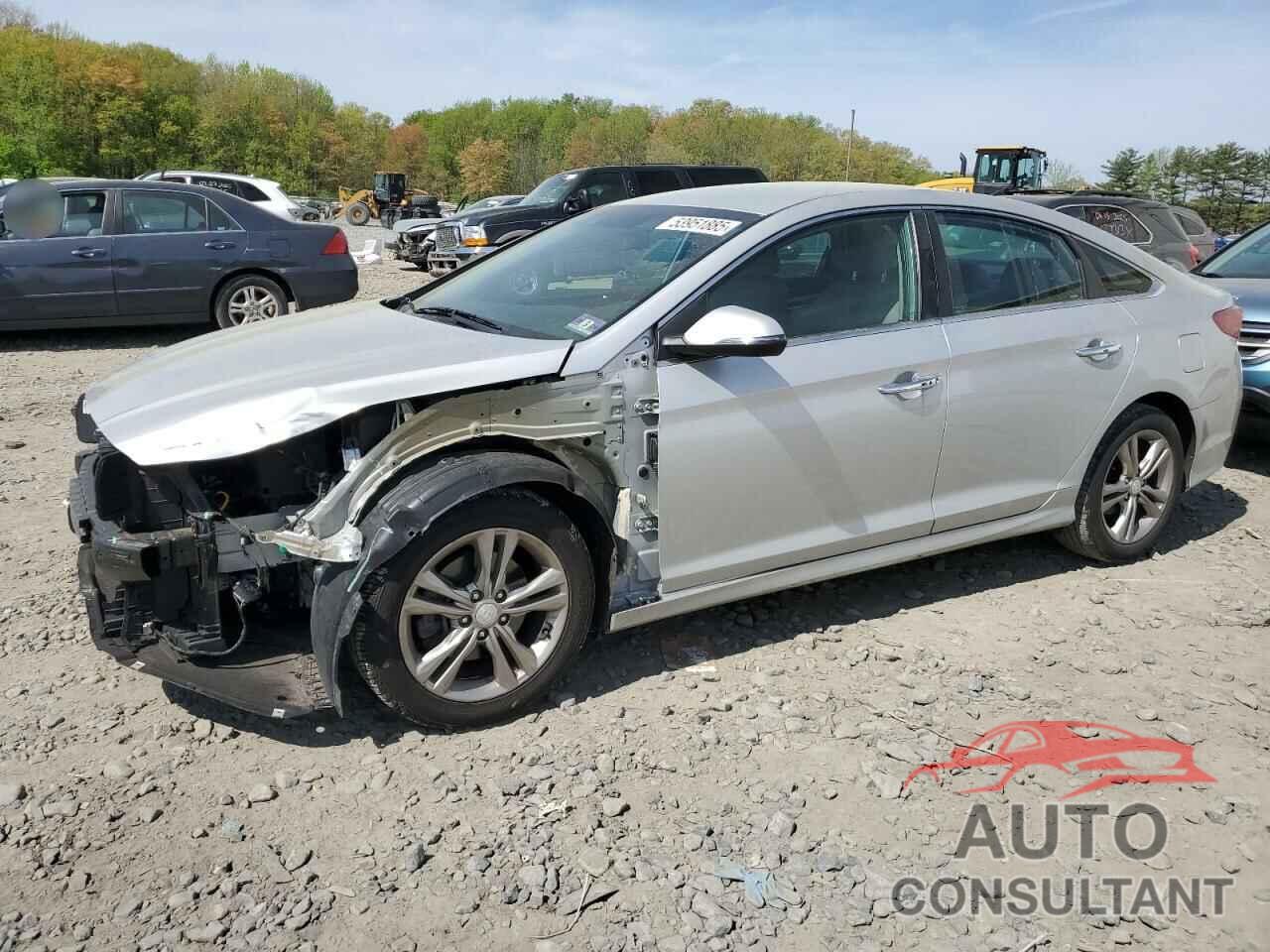 HYUNDAI SONATA 2019 - 5NPE34AF4KH756850