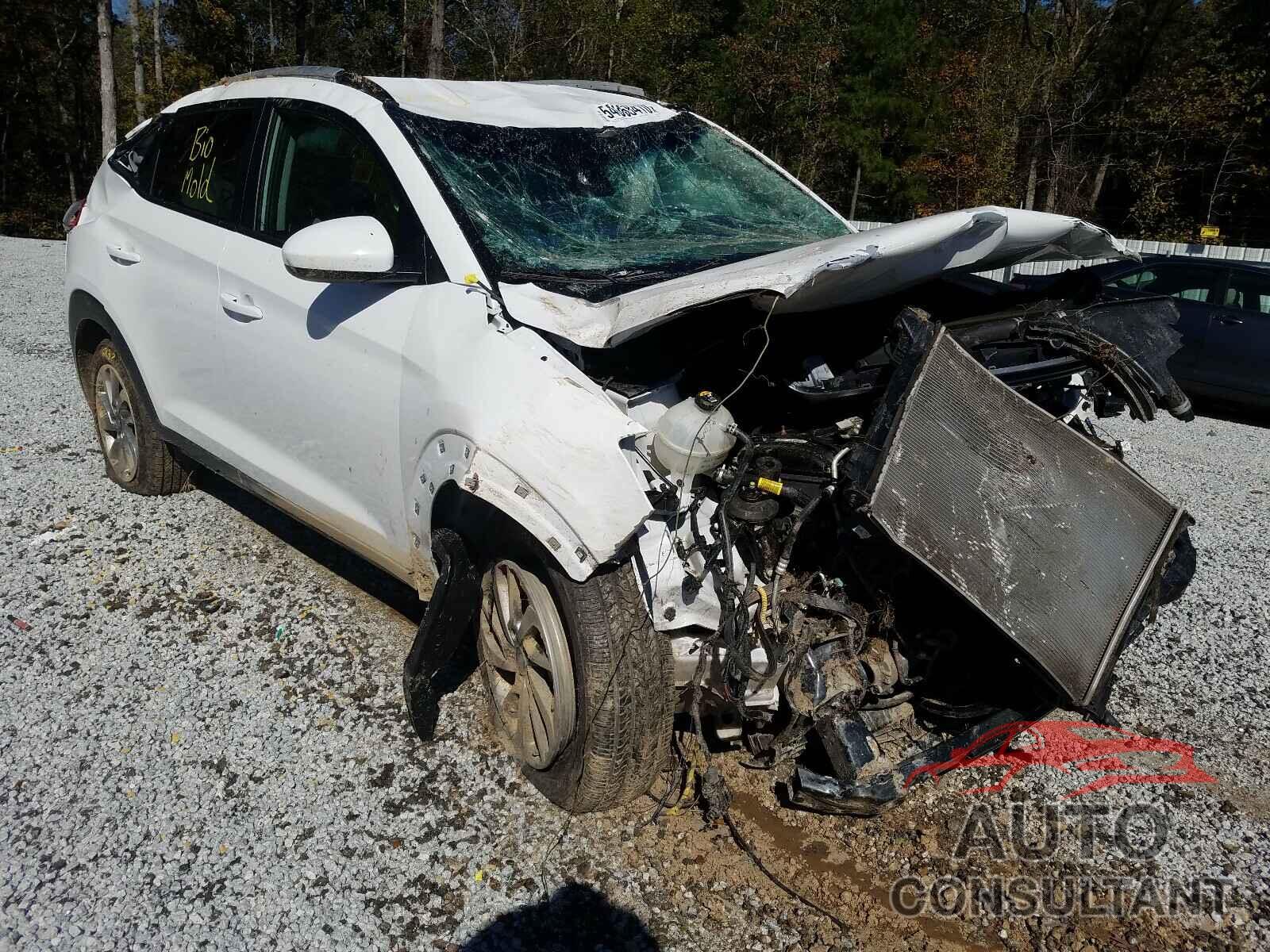 HYUNDAI TUCSON 2018 - KM8J33A40JU791022