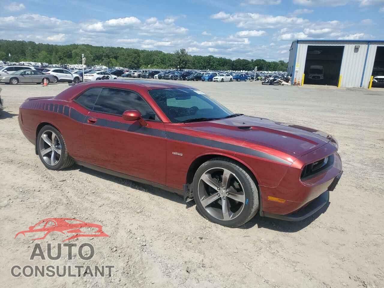 DODGE CHALLENGER 2014 - 2C3CDYBT9EH310565