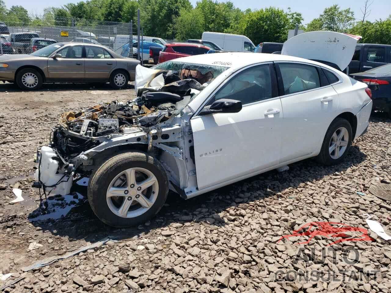 CHEVROLET MALIBU 2023 - 1G1ZC5STXPF156131