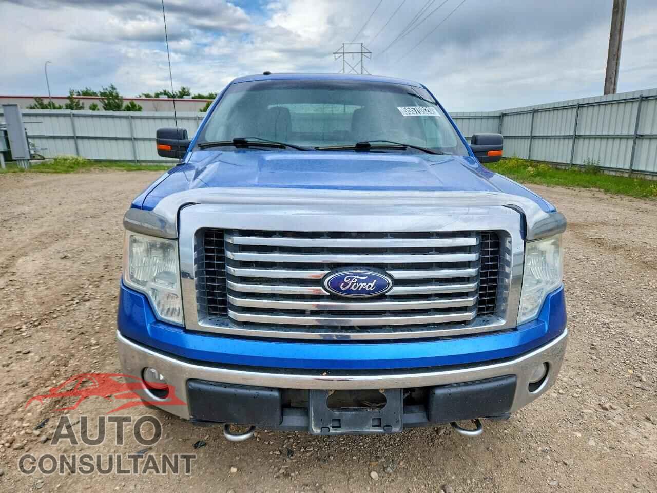 FORD F150 2010 - 1FTFW1EV3AFB59659