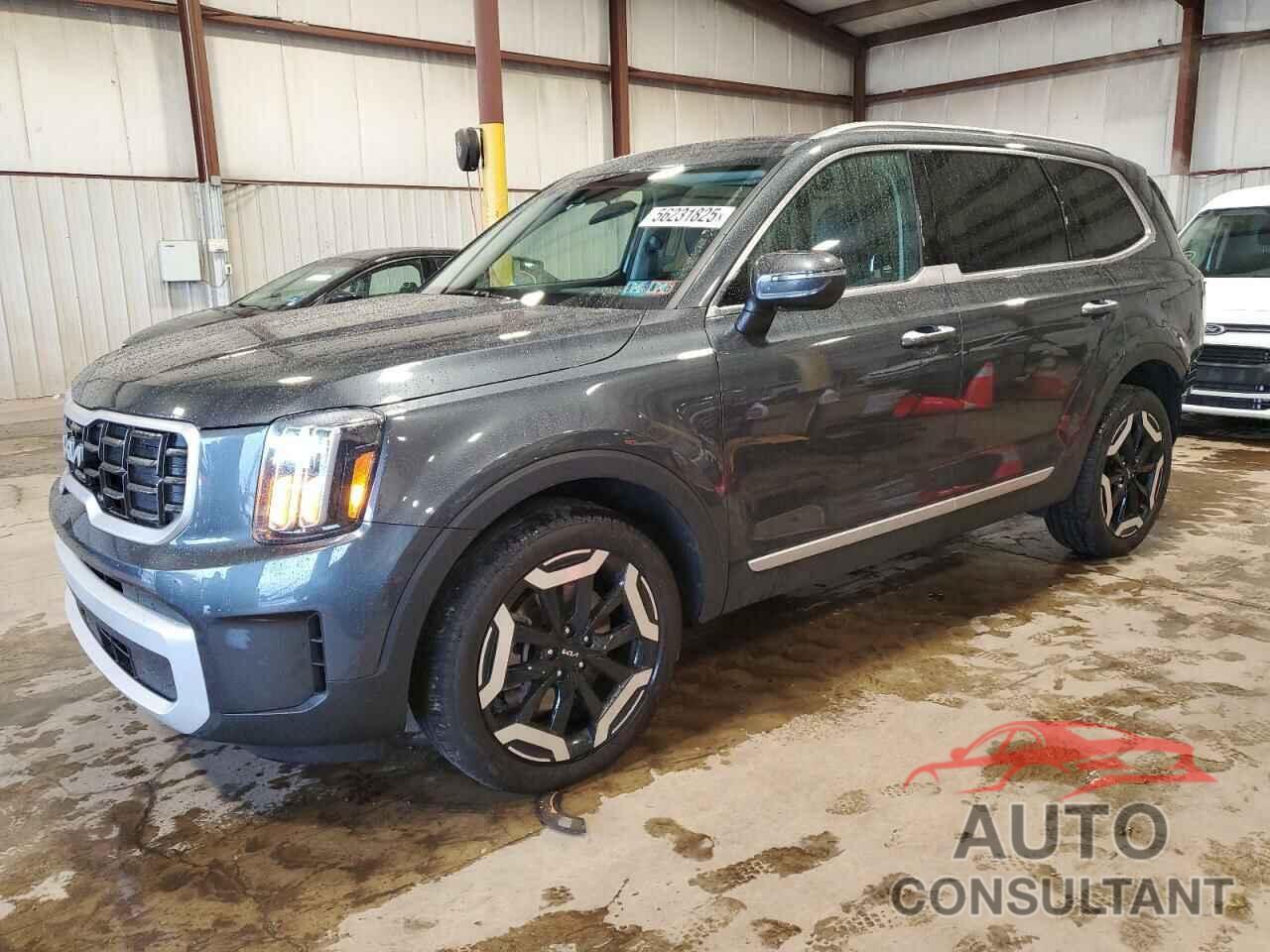KIA TELLURIDE 2024 - 5XYP6DGC5RG533974