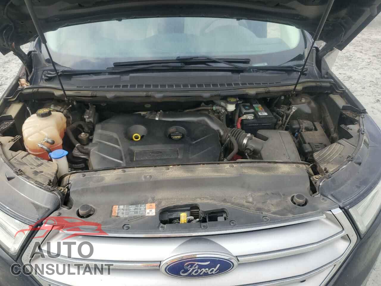 FORD EDGE 2015 - 2FMTK3K99FBB16465