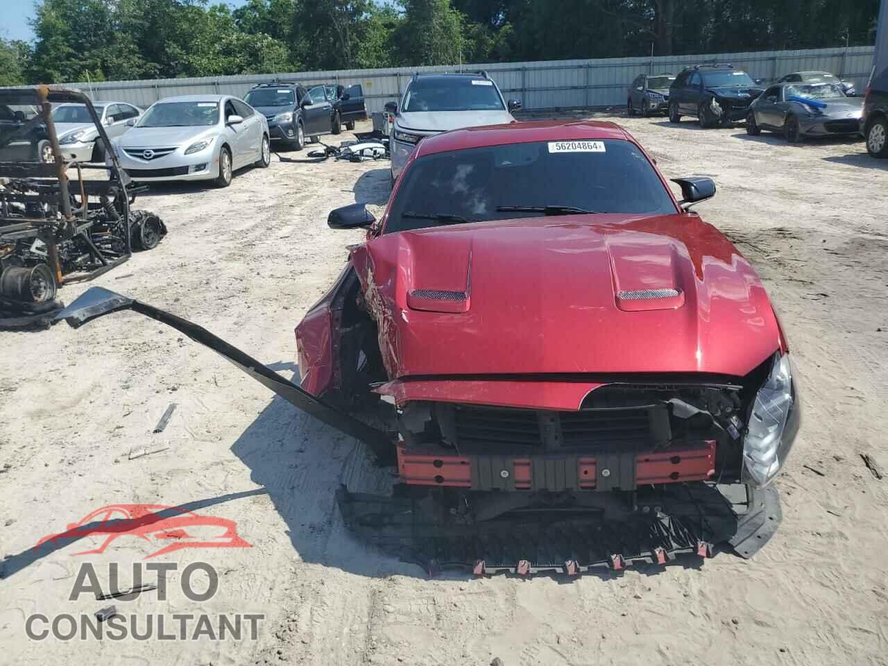 FORD MUSTANG 2019 - 1FA6P8CFXK5119416