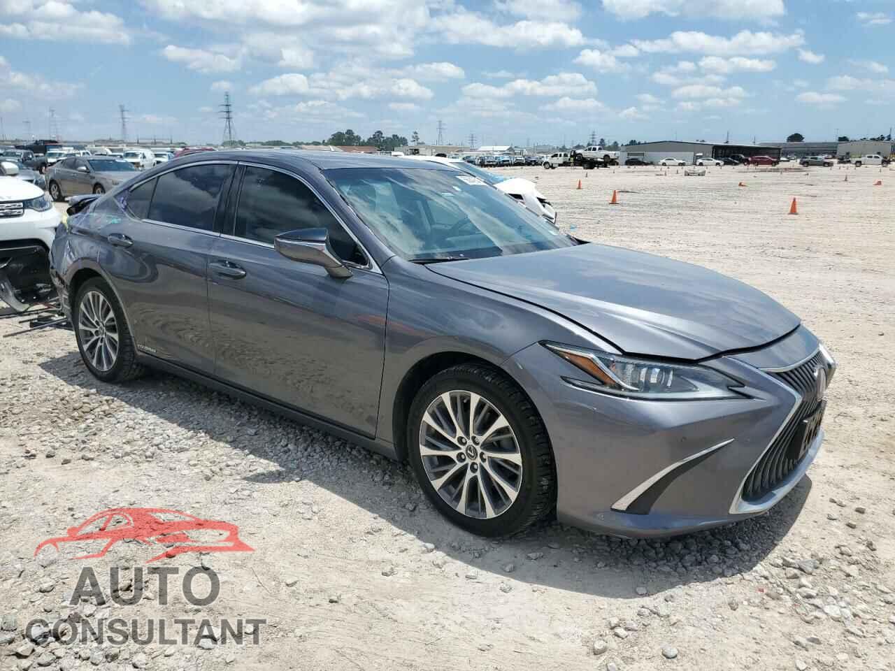 LEXUS ES300 2021 - 58ADA1C19MU004348